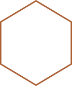 Polygon - Copper Pine Homes